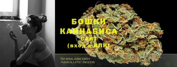 ешки Жердевка