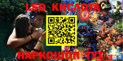 твердый Камышлов