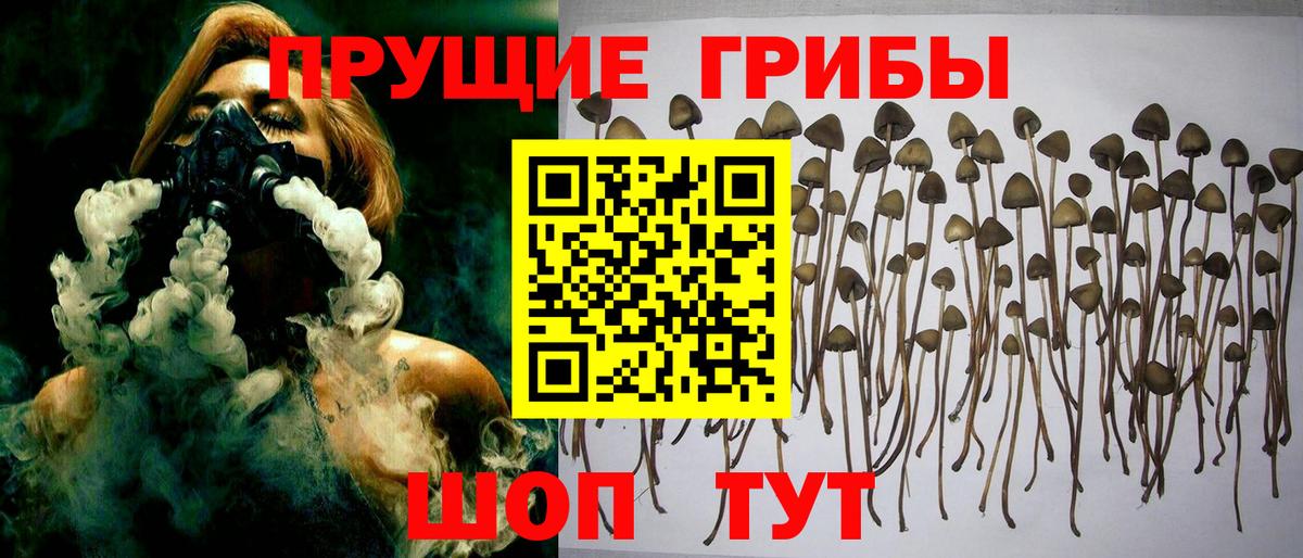 Лесозаводск  Галлюциногенные грибы мухоморы  Вход с VPN 
