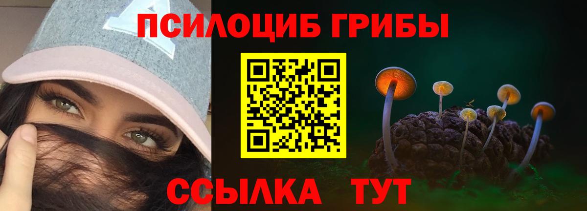 Галлюциногенные грибы Psilocybine cubensis Лесозаводск